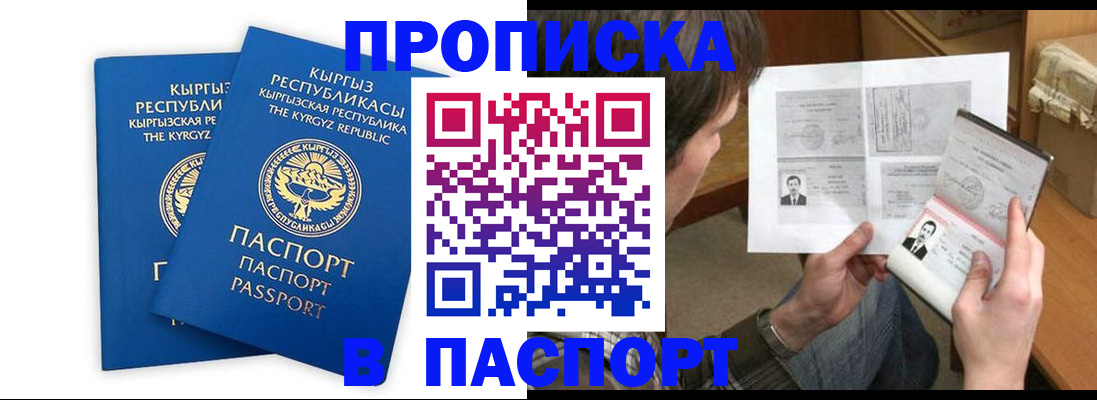 прописка гарантия в Звенигово